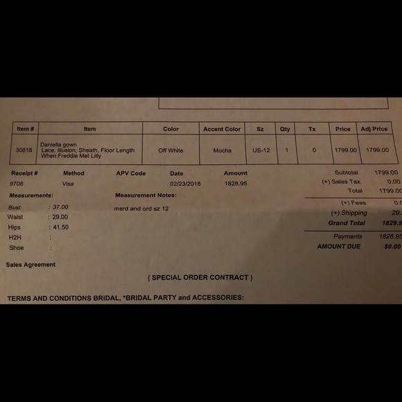 Wedding Dress - Picture 8 of 8